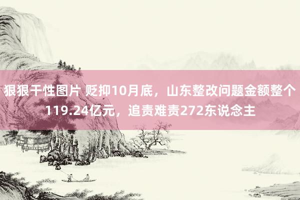 狠狠干性图片 贬抑10月底，山东整改问题金额整个119.24亿元，追责难责272东说念主