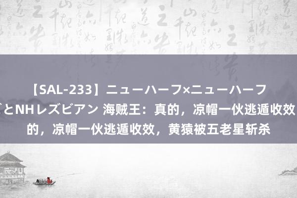 【SAL-233】ニューハーフ×ニューハーフ 竿有り同性愛まるごとNHレズビアン 海贼王：真的，凉帽一伙逃遁收效，黄猿被五老星斩杀