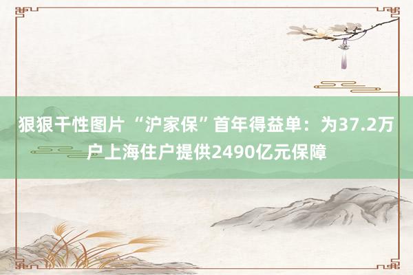 狠狠干性图片 “沪家保”首年得益单：为37.2万户上海住户提供2490亿元保障