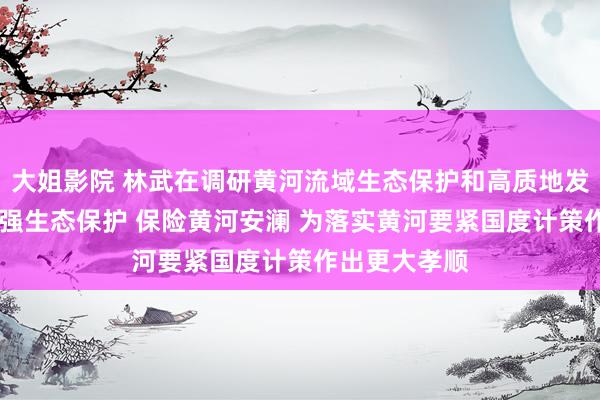 大姐影院 林武在调研黄河流域生态保护和高质地发展时强调 加强生态保护 保险黄河安澜 为落实黄河要紧国度计策作出更大孝顺