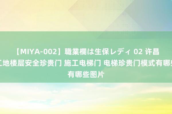 【MIYA-002】職業欄は生保レディ 02 许昌信阳工地楼层安全珍贵门 施工电梯门 电梯珍贵门模式有哪些图片