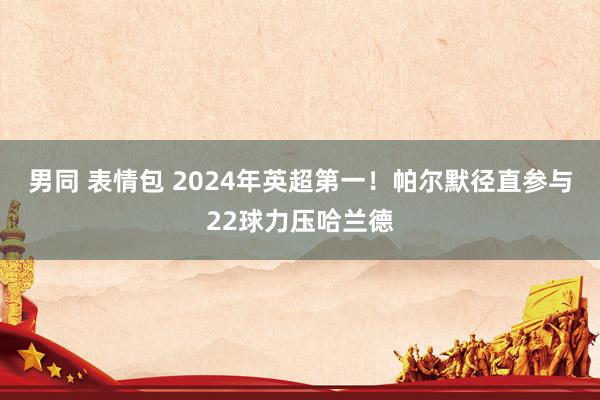 男同 表情包 2024年英超第一！帕尔默径直参与22球力压哈兰德