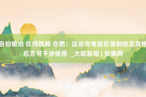 自拍偷拍 在线视频 合肥：这些充电桩在强制检定及格后方可干涉使用  _大皖新闻 | 安徽网