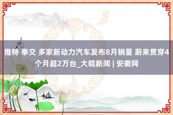 推特 拳交 多家新动力汽车发布8月销量 蔚来贯穿4个月超2万台_大皖新闻 | 安徽网