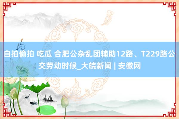 自拍偷拍 吃瓜 合肥公杂乱团辅助12路、T229路公交劳动时候_大皖新闻 | 安徽网