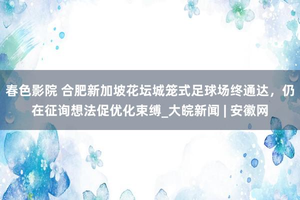 春色影院 合肥新加坡花坛城笼式足球场终通达，仍在征询想法促优化束缚_大皖新闻 | 安徽网