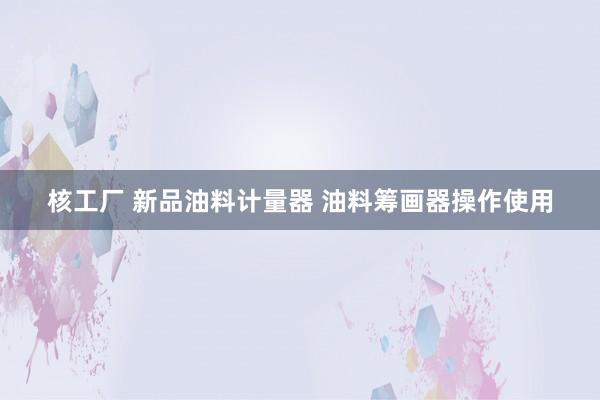 核工厂 新品油料计量器 油料筹画器操作使用