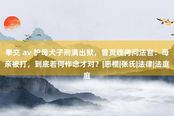 拳交 av 护母犬子刑满出狱，曾灵魂拷问法官：母亲被打，到底若何作念才对？|恶棍|张氏|法律|法庭